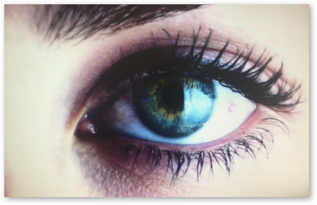 Augendiagnose Iridologie